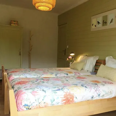 La Perle Des Montagnes - - D Bed & Breakfast Vernet-les-Bains