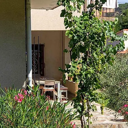 Bed & Breakfast La Perle Des Montagnes - - D